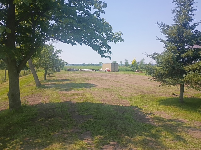 image6